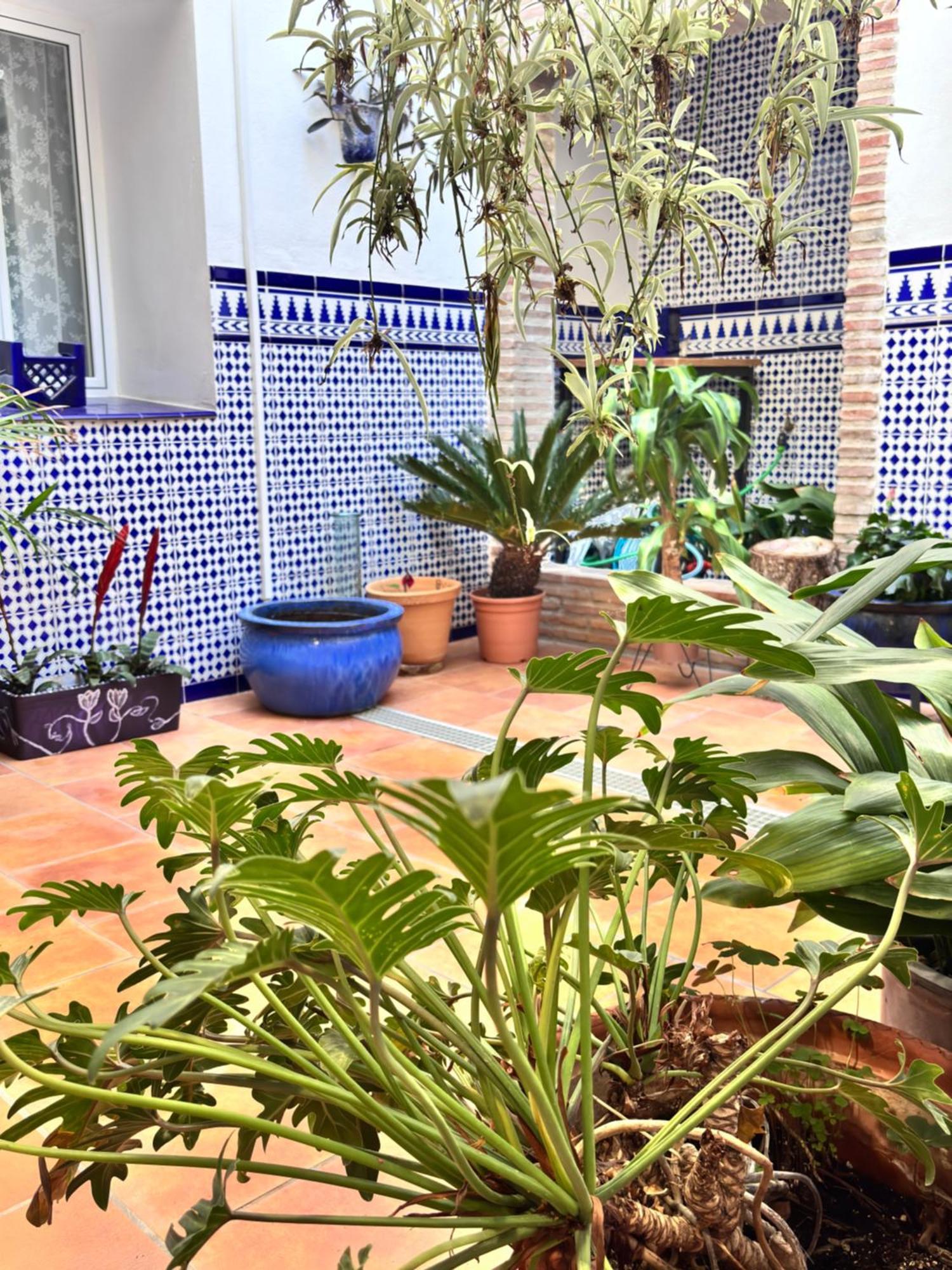 Shanti'S Andalusian Rooms มาลากา ภายนอก รูปภาพ